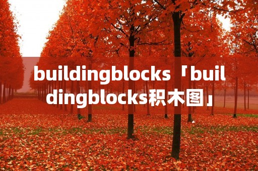 buildingblocks「buildingblocks积木图」