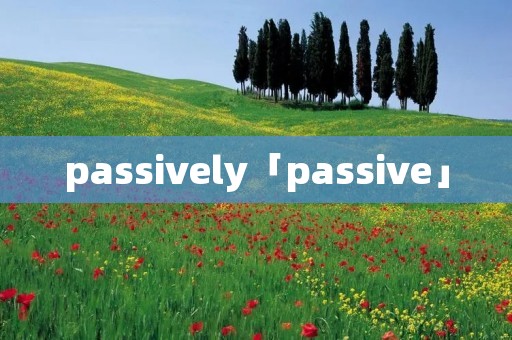 passively「passive」 passively「passive」