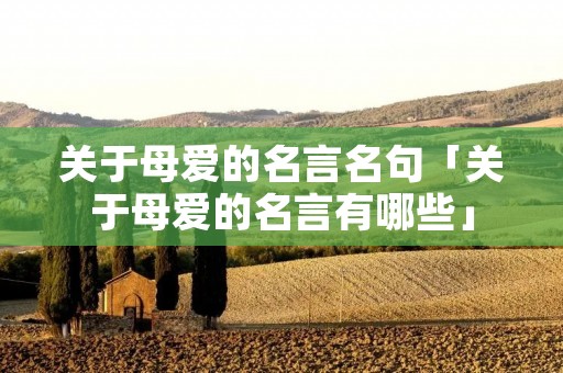 关于母爱的名言名句「关于母爱的名言有哪些」