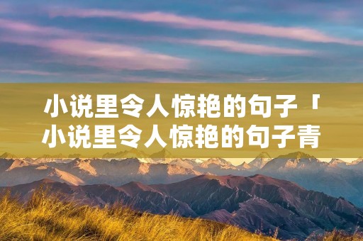 小说里令人惊艳的句子「小说里令人惊艳的句子青春」