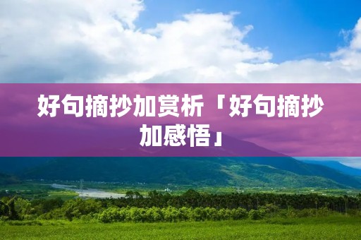 好句摘抄加赏析「好句摘抄加感悟」