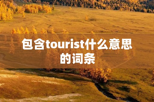 包含tourist什么意思的词条