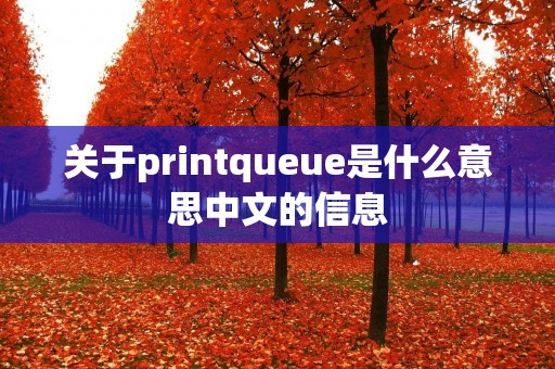 关于printqueue是什么意思中文的信息