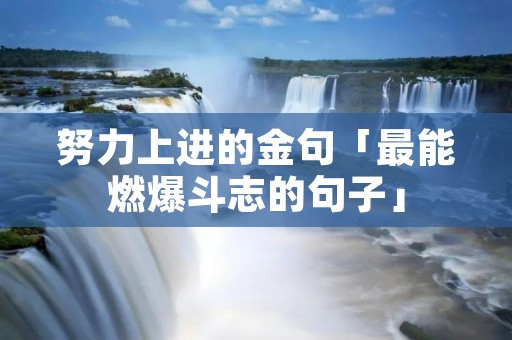 努力上进的金句「最能燃爆斗志的句子」