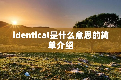 identical是什么意思的简单介绍 identical是什么意思的简单介绍