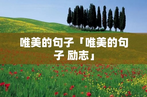 唯美的句子「唯美的句子 励志」