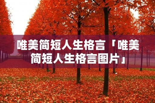 唯美简短人生格言「唯美简短人生格言图片」