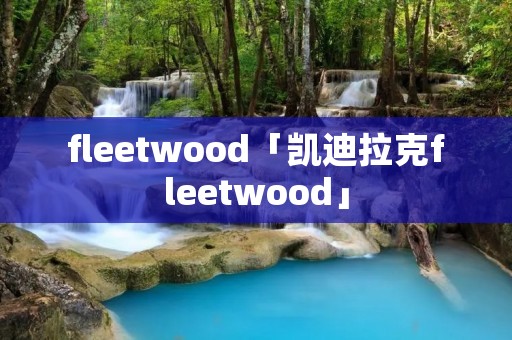 fleetwood「凯迪拉克fleetwood」
