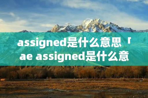 assigned是什么意思「ae assigned是什么意思」