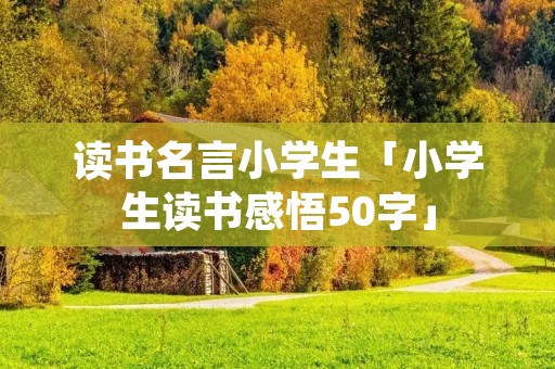 读书名言小学生「小学生读书感悟50字」