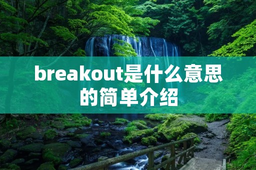 breakout是什么意思的简单介绍