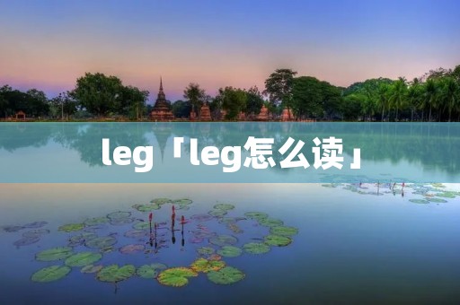 leg「leg怎么读」