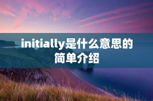 initially是什么意思的简单介绍