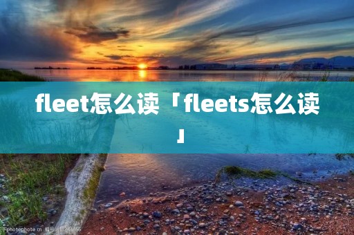 fleet怎么读「fleets怎么读」