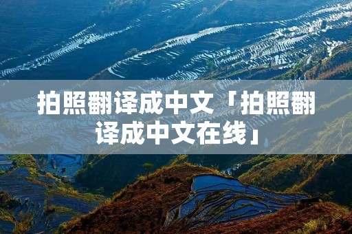 拍照翻译成中文「拍照翻译成中文在线」