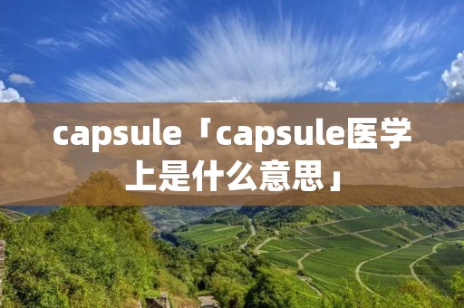 capsule「capsule医学上是什么意思」