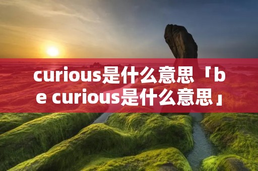 curious是什么意思「be curious是什么意思」 curious是什么意思「be curious是什么意思」