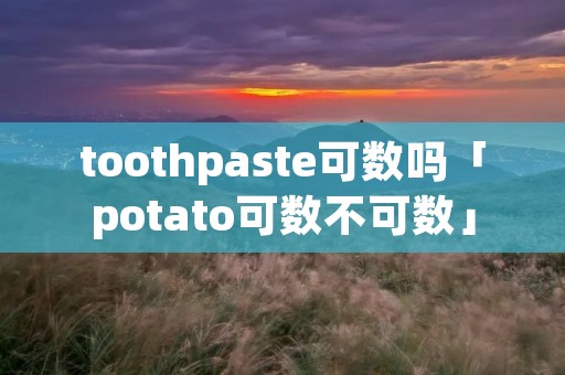 toothpaste可数吗「potato可数不可数」