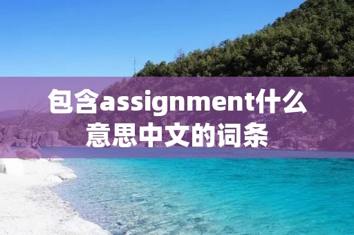 包含assignment什么意思中文的词条