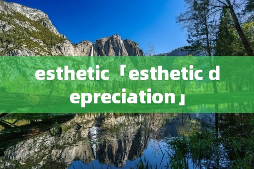 esthetic「esthetic depreciation」