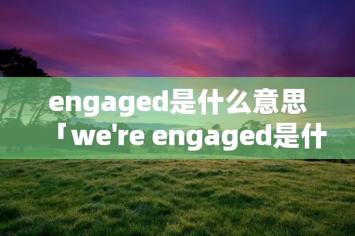engaged是什么意思「we're engaged是什么意思」