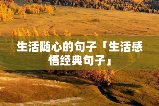 生活随心的句子「生活感悟经典句子」