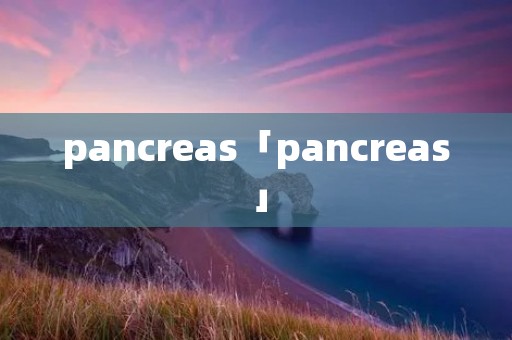 pancreas「pancreas」