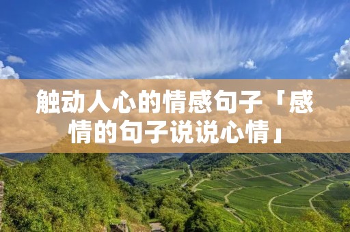 触动人心的情感句子「感情的句子说说心情」