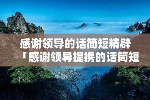 感谢领导的话简短精辟「感谢领导提携的话简短精辟」