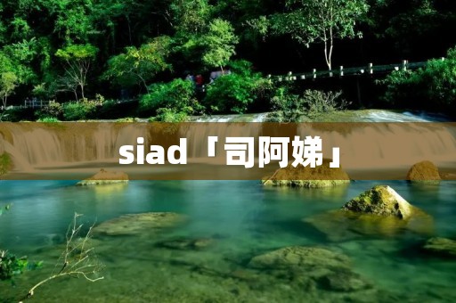 siad「司阿娣」