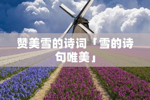 赞美雪的诗词「雪的诗句唯美」