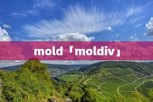 mold「moldiv」