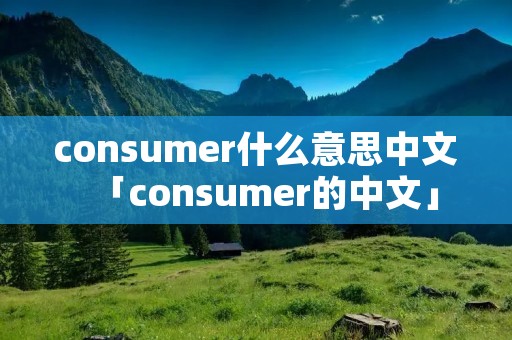 consumer什么意思中文「consumer的中文」