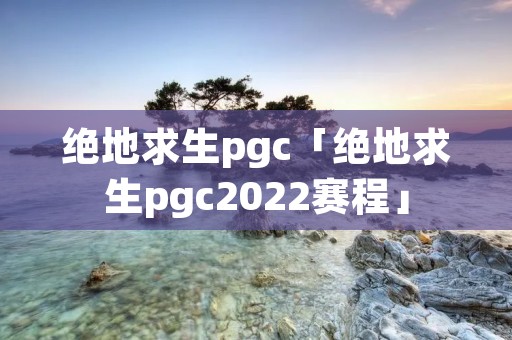 绝地求生pgc「绝地求生pgc2022赛程」