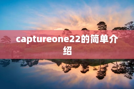 captureone22的简单介绍