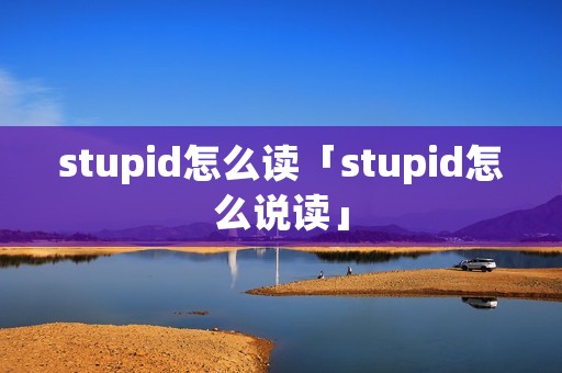 stupid怎么读「stupid怎么说读」