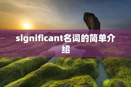 significant名词的简单介绍 significant名词的简单介绍