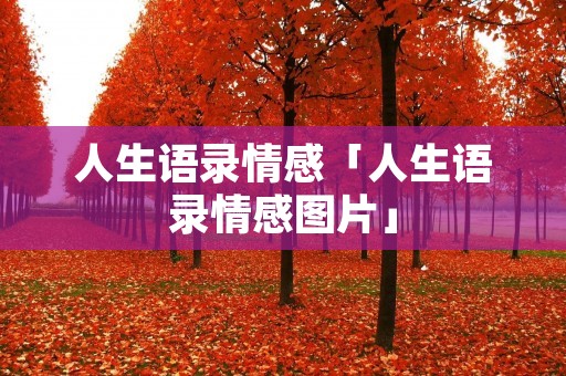 人生语录情感「人生语录情感图片」 人生语录情感「人生语录情感图片」