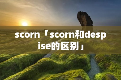 scorn「scorn和despise的区别」