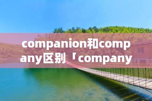 companion和company区别「company和companionship的区别」