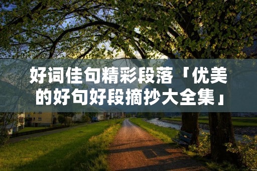 好词佳句精彩段落「优美的好句好段摘抄大全集」