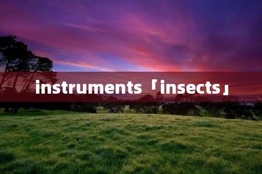 instruments「insects」