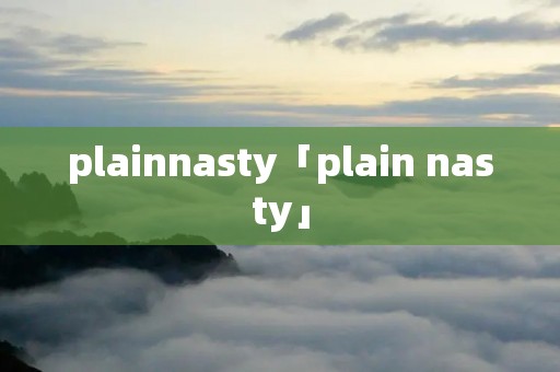 plainnasty「plain nasty」