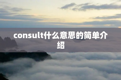 consult什么意思的简单介绍