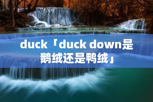 duck「duck down是鹅绒还是鸭绒」