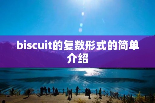 biscuit的复数形式的简单介绍 biscuit的复数形式的简单介绍