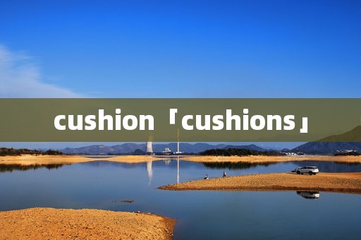 cushion「cushions」