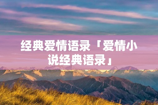 经典爱情语录「爱情小说经典语录」