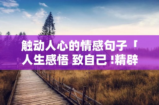 触动人心的情感句子「人生感悟 致自己 !精辟」