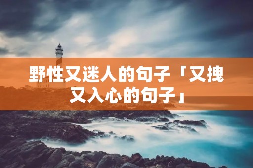 野性又迷人的句子「又拽又入心的句子」